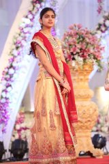 Hero Aadi Wedding Reception Photos